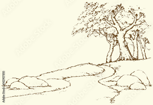 Mountain landscape with oak trees. Vector drawing