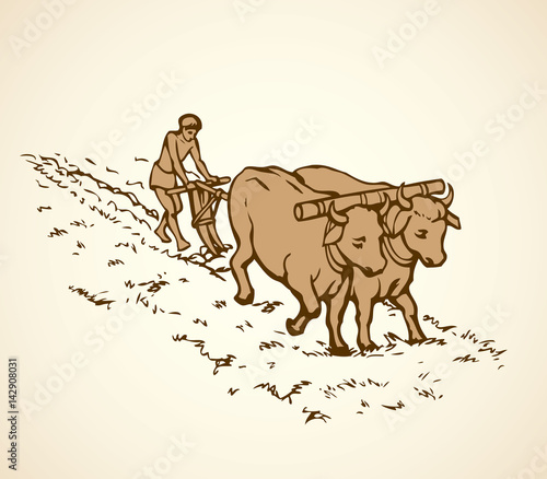Vector drawing. Primitive agriculture. Peasants treated field