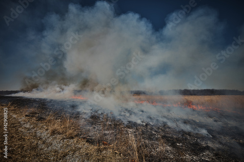 Conservation Wildfire
