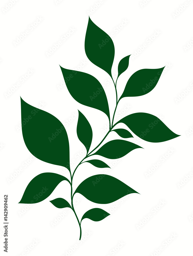 Isolated vector illustration of stylized branches with foliage 