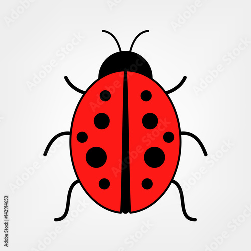  ladybug © maria_iachimova