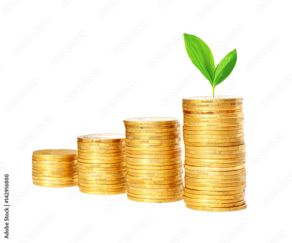 Savings, increasing columns of gold coins and green plant Savings, increasing columns of gold coins and green plant