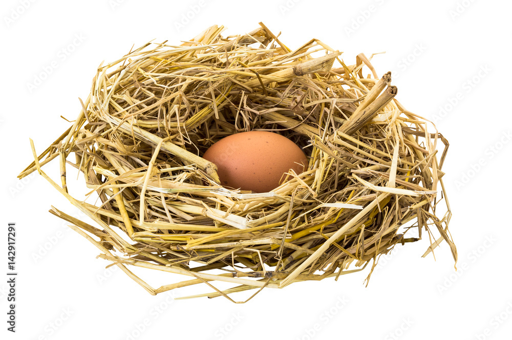 Single chicken egg on the straw nest isolated on white background Single chicken egg on the straw nest isolated on white background