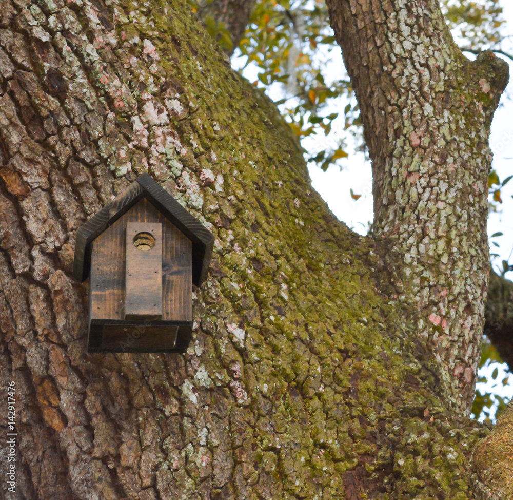 Bird house at Mead Botanical Garden in Orlando, Florida Bird house at Mead Botanical Garden in Orlando, Florida