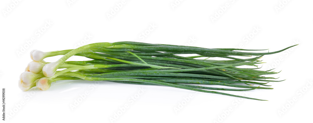 Green onion isolated on the white background Green onion isolated on the white background