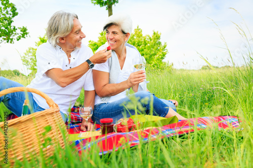 Senior Couple Having A Picnic © nullplus