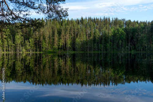 Beautiful lake with reflection of blue sky and evergreen forest in the north of Russia 