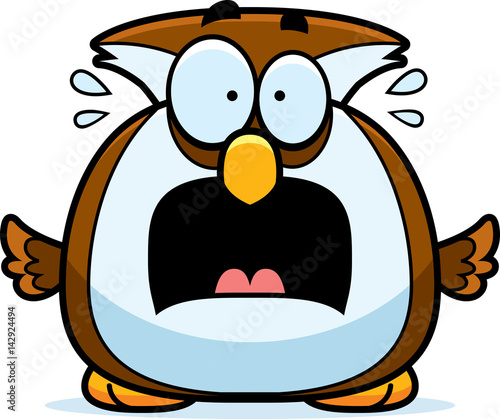 Scared Little Owl