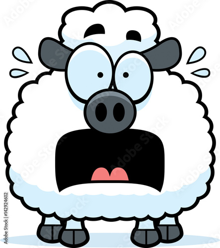 Scared Little Lamb