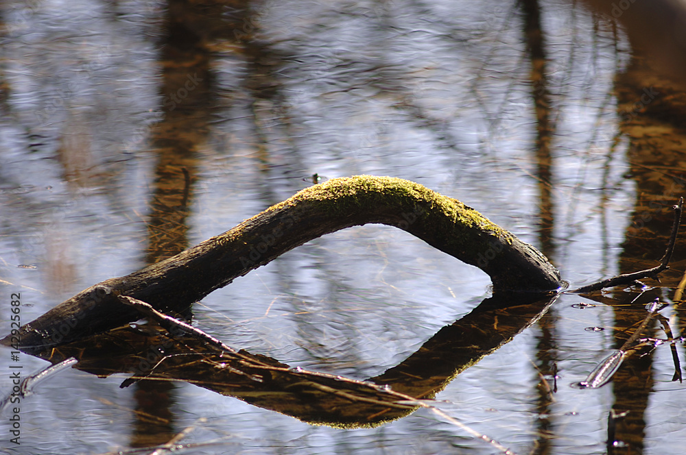 Fototapeta premium Idyllische Uferlandschaft an einem See