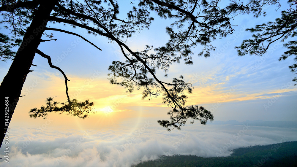 view point at nation park of thailand view point at nation park of thailand