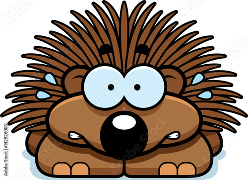 Nervous Little Porcupine
