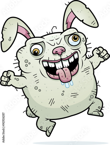Crazy Ugly Bunny