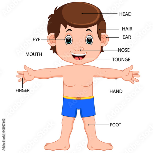 boy body parts diagram poster