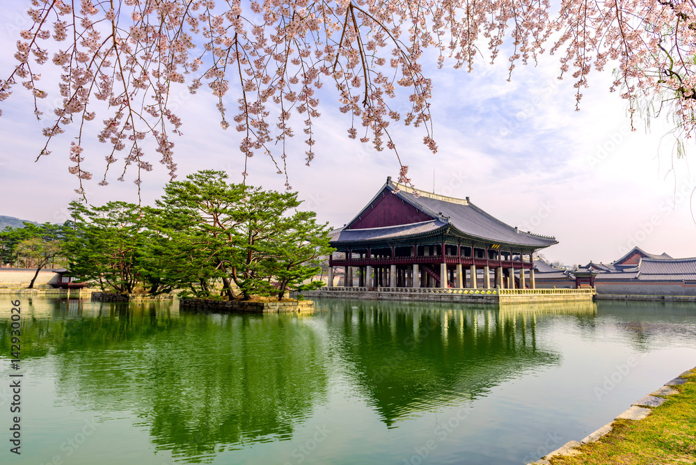 Gyeongbokgung Palace with cherry blossom in spring of korea.