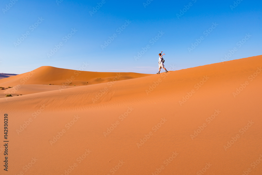 Tourist walking on the scenic dunes of Sossusvlei, Namib desert, Namib Naukluft National Park, Namibia. Adventure and exploration in Africa.