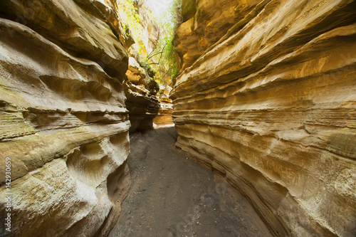 Cave in Hells gate, Kenya