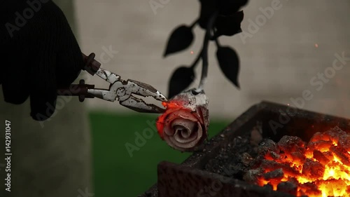 Blacksmith warmed the metal rose and it become red like real one photo