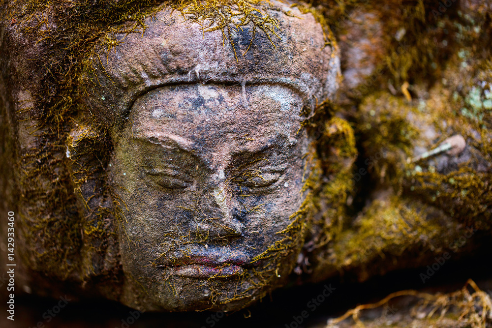 Mossy stone face