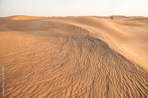 Abandoned ghost village in Arabian desert.