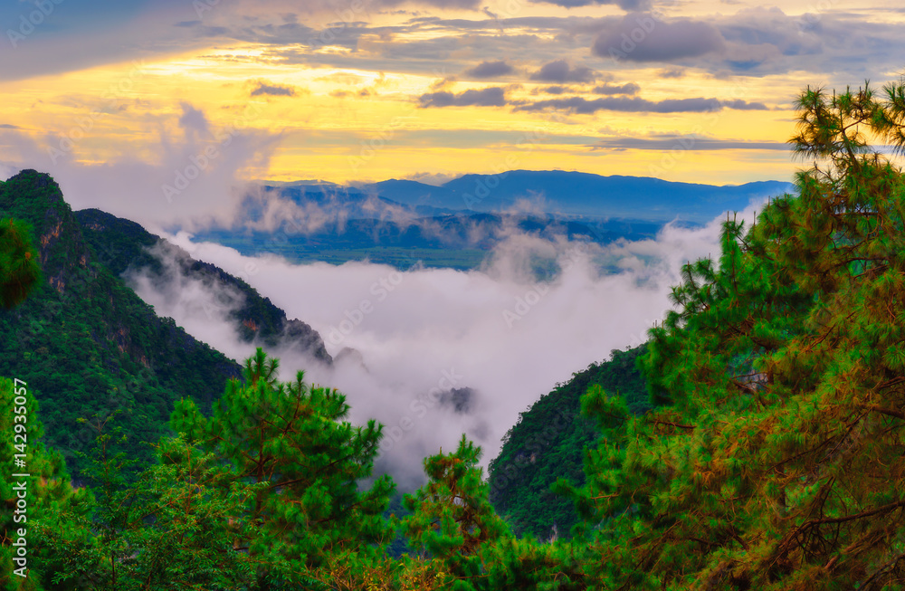 The mist of the Doi Chang Mountain in Chiang Rai,Thailand