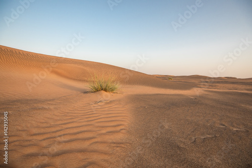 Abandoned ghost village in Arabian desert.