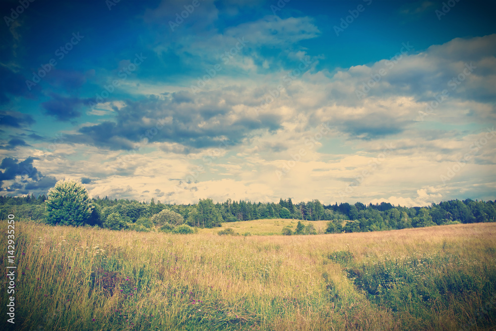 Naklejka premium Green meadow under dramatic sky landscape