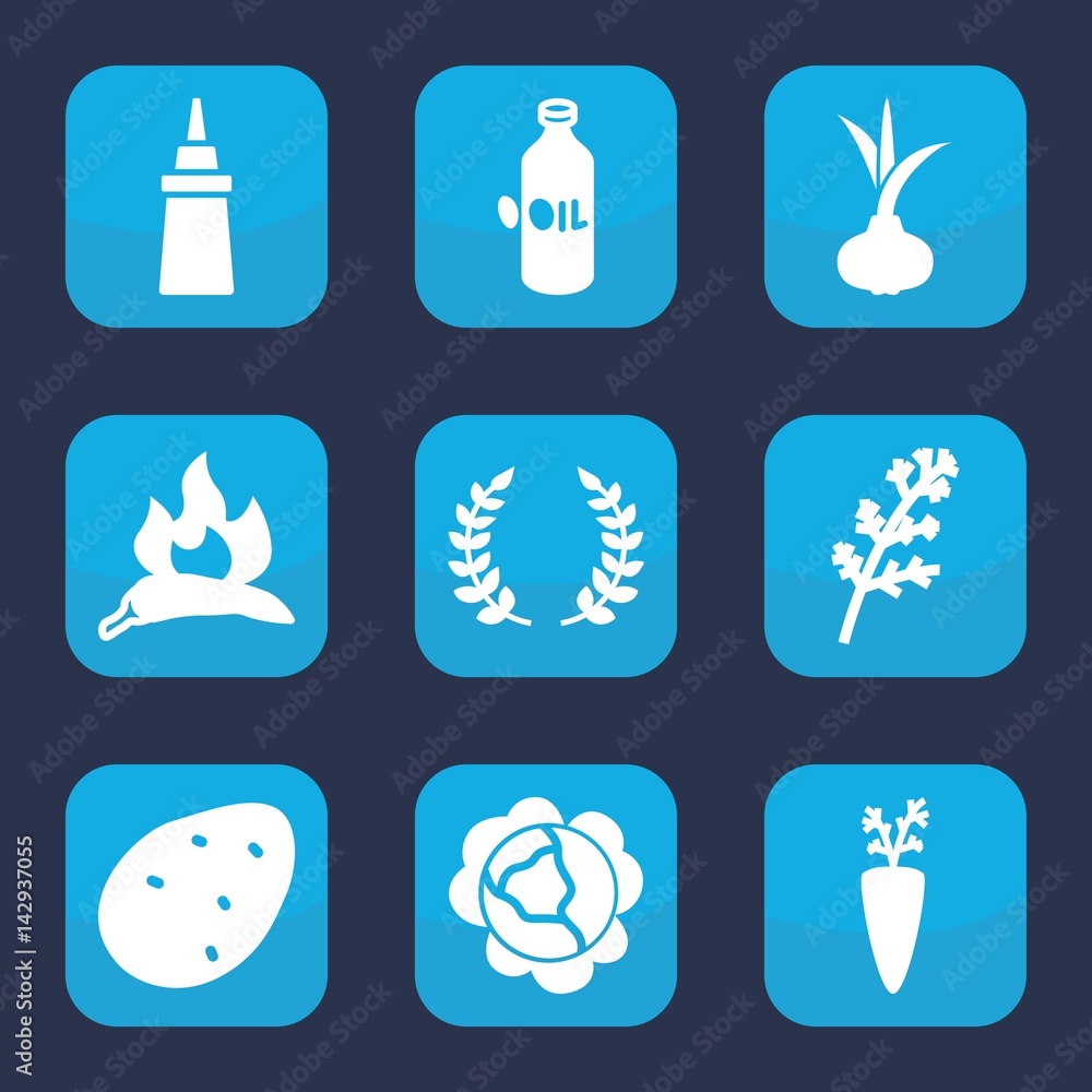 Set of 9 filled ingredient icons Set of 9 filled ingredient icons