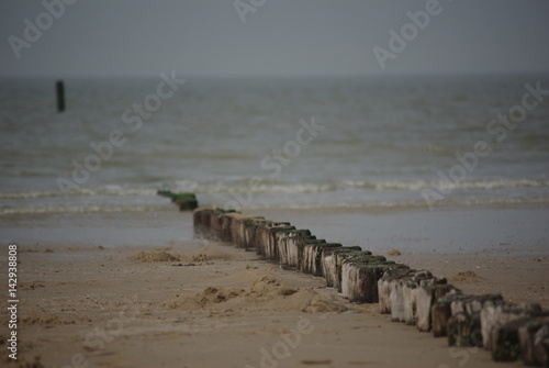 Buhnen in Holland am Sandstrand photo