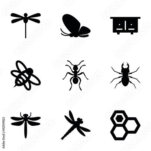 Set of 9 insect filled icons © HN Works