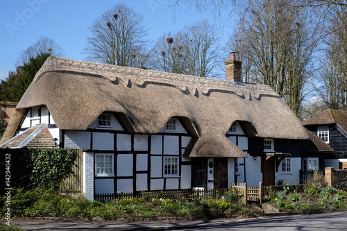 View of a Thatched cottage in Micheldever Hampshire