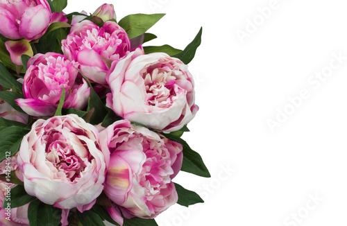 Pink Peony bouquet isolated on white background.
