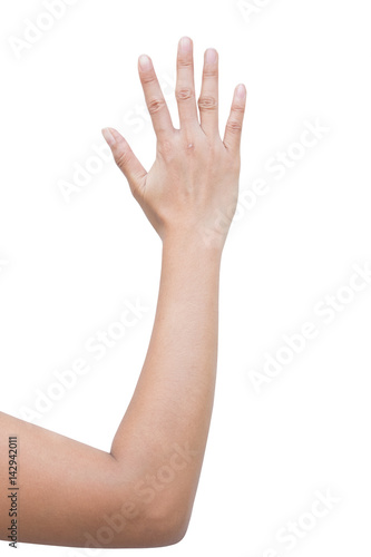 right back hand a woman show hi five  greet  stop  hand up  the fifth  empty sign. isolate on white background