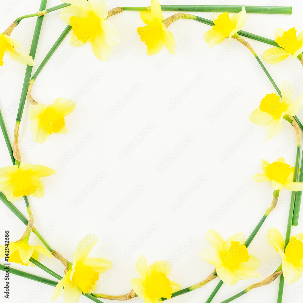 Round frame of narcissus on white background. Flat lay, top view. Floral background. Round frame of narcissus on white background. Flat lay, top view. Floral background.