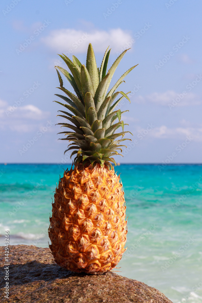 Pineapple fruit on sand against turquoise water. Similan Islands Thailand. Tropical summer vacation concept Pineapple fruit on sand against turquoise water. Similan Islands Thailand. Tropical summer vacation concept