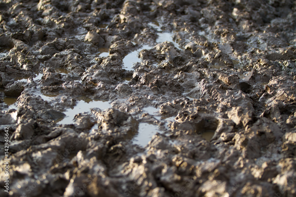 Muddy Field Muddy Field