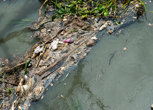 Φωτογραφία Water pollution in river with trash.