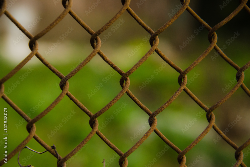 Fototapeta premium wire mesh steel with green grass background