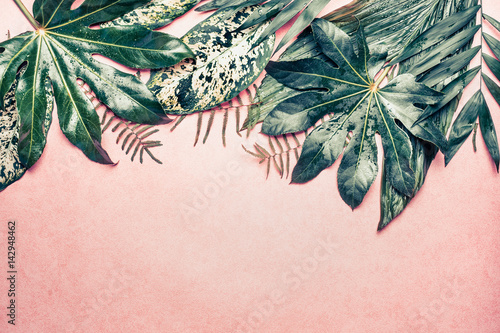 Obraz różnorodne egzotyczne liście na pastelowym różowym tle
