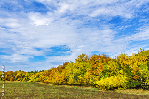 Bright blue sky and clouds in the autumn day over the field. Nature landscape.