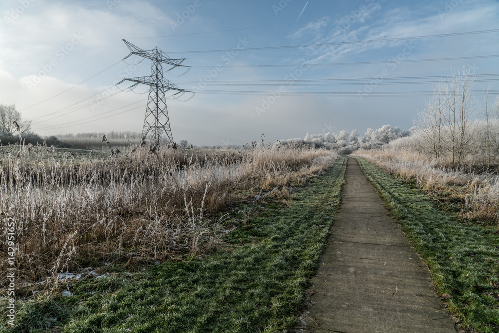 Winter view on Dutch landscape in the Flevoland provence
