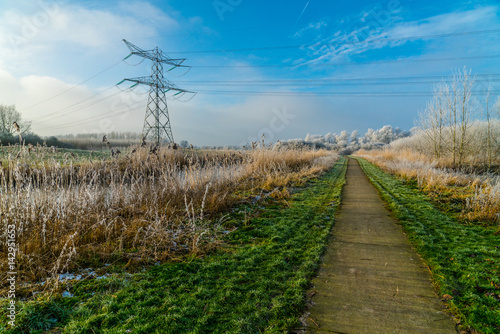 Winter view on Dutch landscape in the Flevoland provence