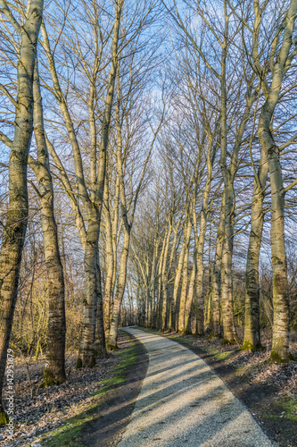 Path in national park  Flevoland  the Netherlands