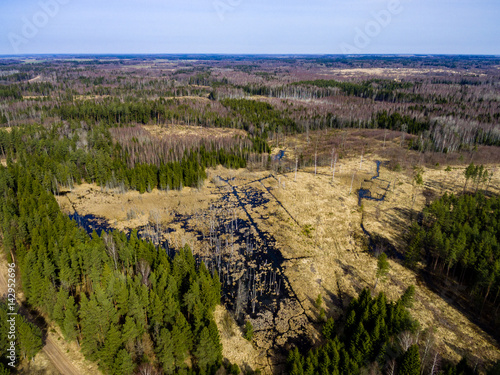 drone image. aerial view of rural area with forest lake