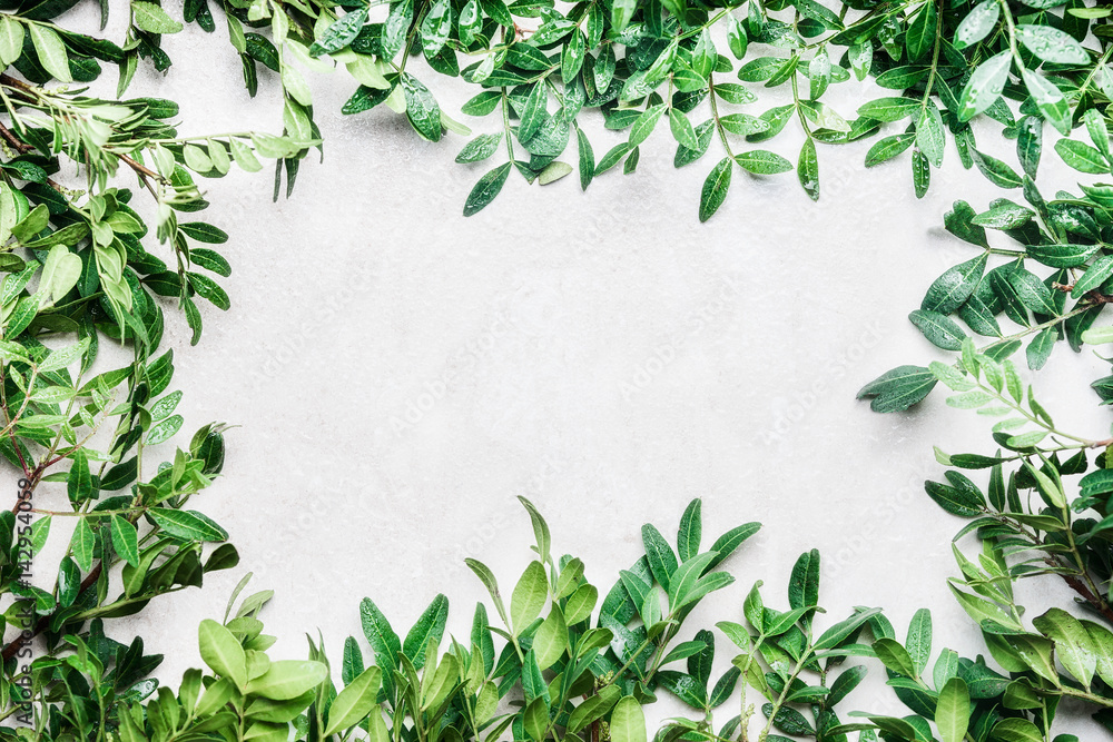 Fototapeta premium Frame of green branches and leaves, top view