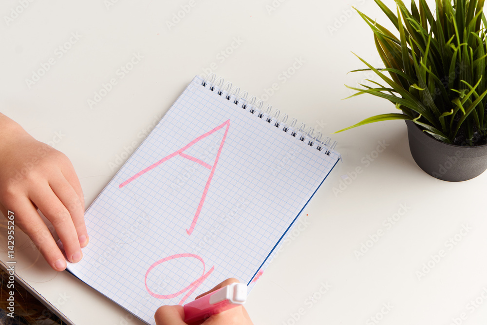 writing letters in a notepad, a flower in a pot writing letters in a notepad, a flower in a pot