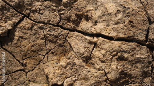 Cracked Stone Background