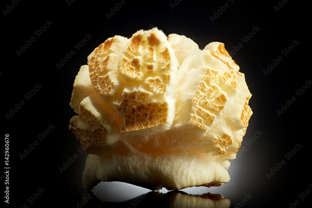 Single popped popcorn on a black background with reflection. Close-up or macro. Single popped popcorn on a black background with reflection. Close-up or macro.