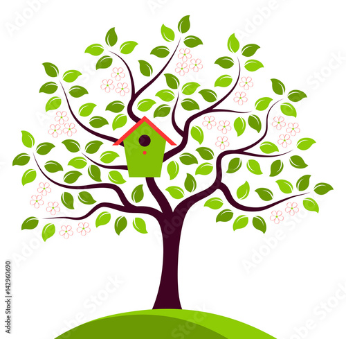 flowering tree with nesting bird box