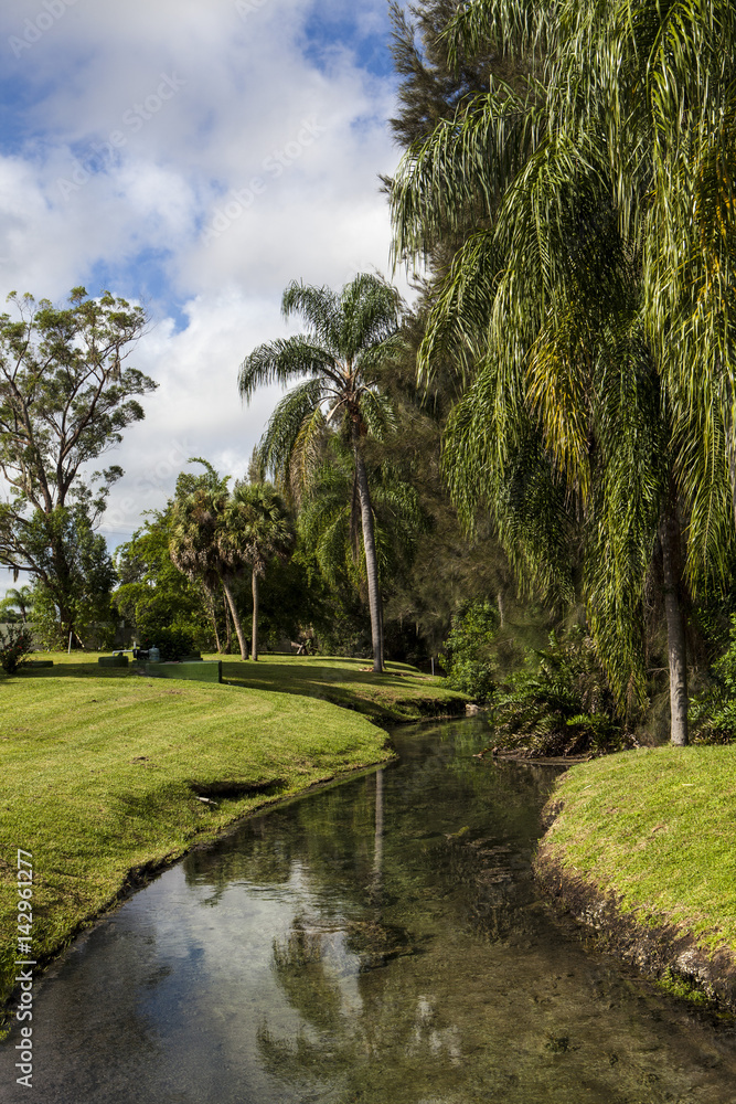 Warm Mineral Springs In North Port, Florida Warm Mineral Springs In North Port, Florida